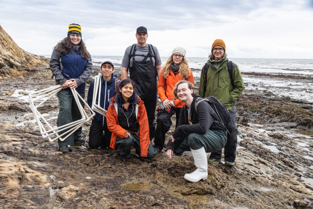 Students and researchers holding sampling quadrats on a rocky California beach