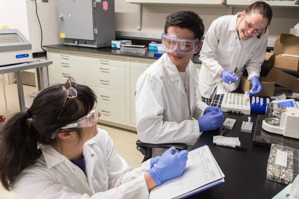 Students working together in Professor Sora Kim’s lab