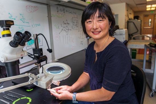 Professor Sora Kim studies ancient shark teeth